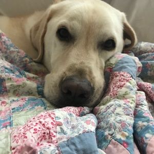 Meet your Posher, Bryan